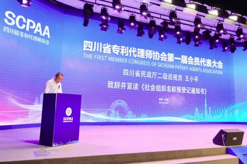四川省專(zhuān)利代理師協(xié)會(huì)首屆會(huì)員代表大會(huì)順利召開(kāi)，共謀行業(yè)發(fā)展新篇章
